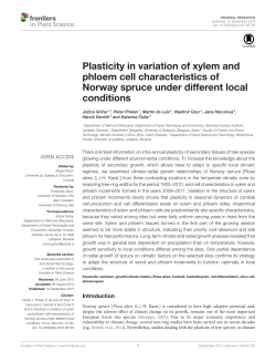 Plasticity in variation of xylem and phloem cell characteristics of