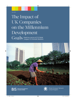 The Impact of UK Companies on the Millennium Development Goals