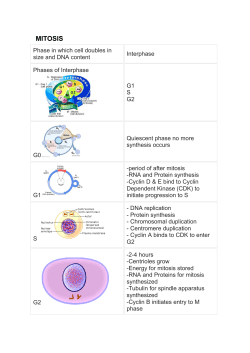 mitosis - hiscience