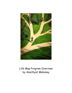 Life Map Program Overview by Amethyst Mahoney