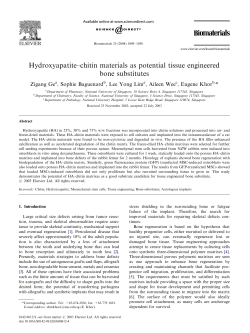 Hydroxyapatite&ndash;chitin materials as potential tissue engineered bone