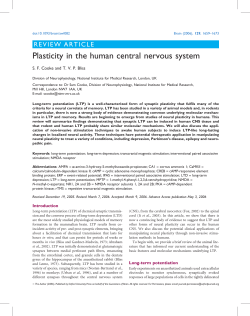 Plasticity in the human central nervous system