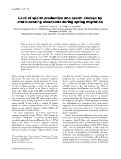 Lack of sperm production and sperm storage by arctic