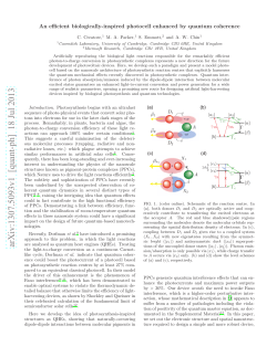An efficient biologically-inspired photocell enhanced by quantum