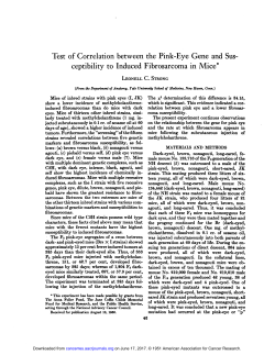 Test of Correlation between the Pink-Eye Gene
