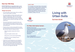 Living with Urban Gulls