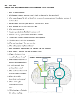 Unit 2 Study Guide Energy in Living Things: Chemosynthesis