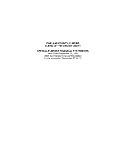 Independent Audit Financial Report 9/2013