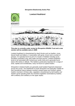 Lowland Heathland - Shropshire Council