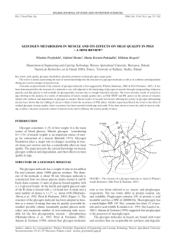 GLYCOGEN METABOLISM IN MUSCLE AND ITS EFFECTS ON