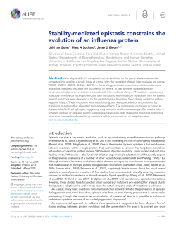 Stability-mediated epistasis constrains the evolution