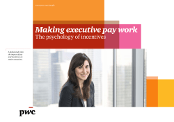 Making executive pay work
