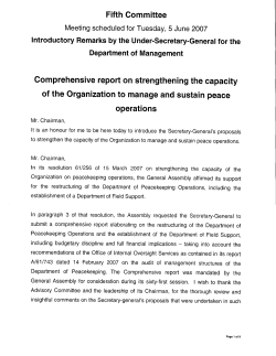 Statement USG MGMT on DPKO Reform 6 June 07