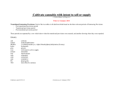 Cultivate cannabis with intent to sell or supply