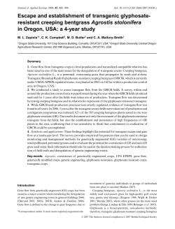 Escape and establishment of transgenic glyphosateresistant