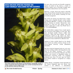 NEW ORCHID SPECIES FOUND ON `LOST WORLD` VOLCANO IN