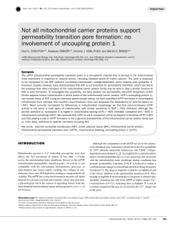 Not all mitochondrial carrier proteins support permeability transition
