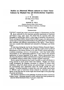 Studies on Abnormal Mitosis induced in Chick Tissue Cultures by