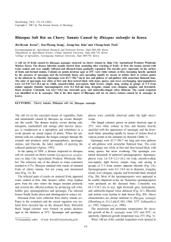 Rhizopus Soft Rot on Cherry Tomato Caused by Rhizopus stolonifer