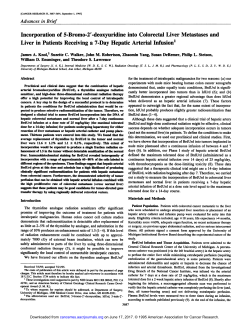 Incorporation of 5-Bromo-2`-deoxyuridine into