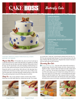 CB4166 Butterfly Cake_printsize