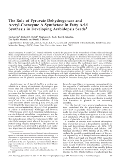 The Role of Pyruvate Dehydrogenase and Acetyl