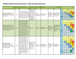 SPARQ-ed Risk Assessment Sheet : DNA Gel Electrophoresis