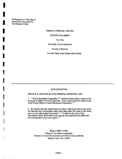 Annual Report 5/31/09 - Village of Port Dickinson