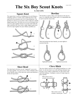 The Six Boy Scout Knots