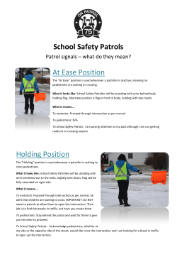 School Safety Patrols At Ease Position Holding Position