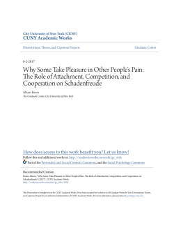 Why Some Take Pleasure in Other People`s Pain: The Role of