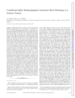 Conditional Spike Backpropagation Generates Burst Discharge in a