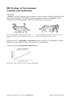 7D Summary Sheets