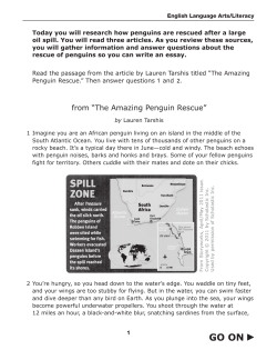 from &ldquo;The Amazing Penguin Rescue&rdquo;