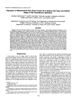 Expression of Mitochondrial Heat Shock Protein 60 in Distinct Cell