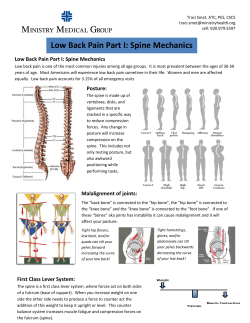Low Back Pain - City of Stevens Point