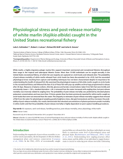 Physiological stress and post-release mortality of white marlin