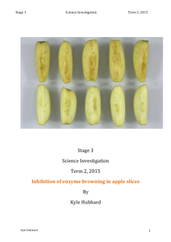 Stage 3 Science Investigation Term 2, 2015 Inhibition of enzyme