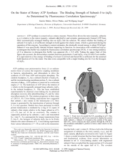 On the Stator of Rotary ATP Synthase: The Binding Strength of