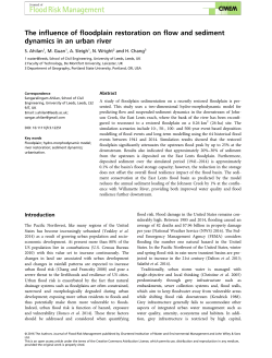 The influence of floodplain restoration on flow and sediment