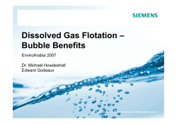 Dissol ed Gas Flotation Dissolved Gas Flotation &ndash; Bubble Benefits