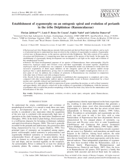 Establishment of zygomorphy on an ontogenic