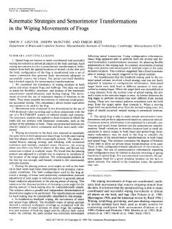 Kinematic Strategies and Sensorimotor Transformations in the