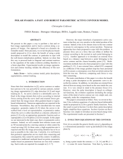 POLAR SNAKES: A FAST AND ROBUST PARAMETRIC ACTIVE