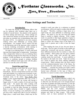 Flame Settings and Torches