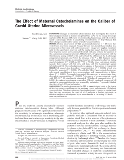 The Effect of Maternal Catecholamines on the Caliber of Gravid