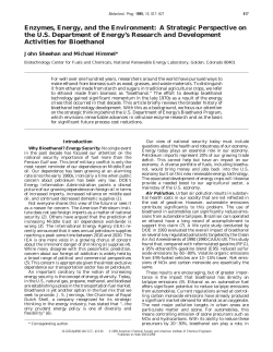 as a PDF
