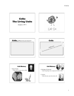 Chapter 3 PPT 1 - Blair Community Schools
