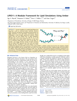 LIPID11: A Modular Framework for Lipid