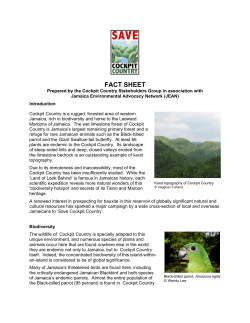 Save Cockpit Country Fact Sheet 2007